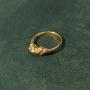 Elegold Fashion CZ Stone Gold Ring